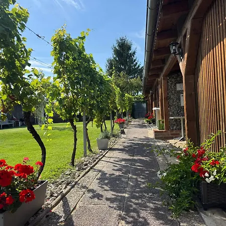 Lipa Mikulov-vinarstvi Lipa