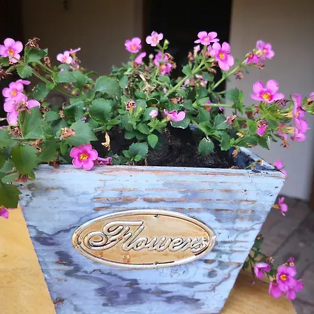 Lípa Appartamento Mikulov