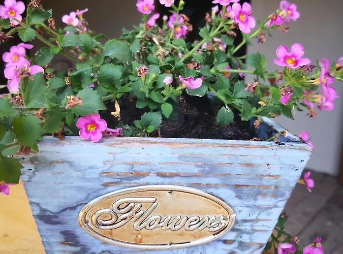 Lipa 아파트 미쿨로프